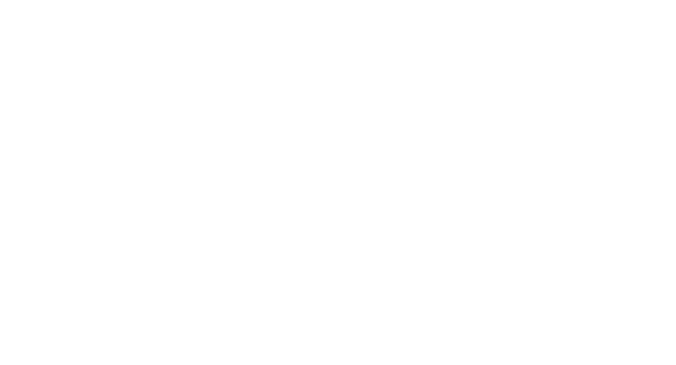 PBsports X-ball